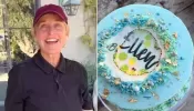 'How Do They Do It?': Ellen DeGeneres Celebrates 66th Birthday with Viral Burn-Away Cake