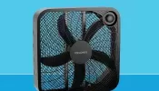 Amazon’s Most Popular Box Fan That Blows a ‘Strong Breeze’ Is Going for Its Cheapest Price This Year