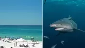 ‘This Is an Anomaly’: 3 People Injured in 2 Different Shark Attacks at Neighboring Beaches in Florida