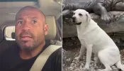 Watch: Man Discovers He's in the Wrong Car When He Finds Stranger's Dog in the Back Seat